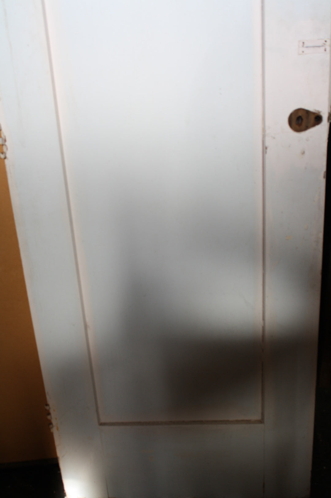 Kauri 1 Panel Door