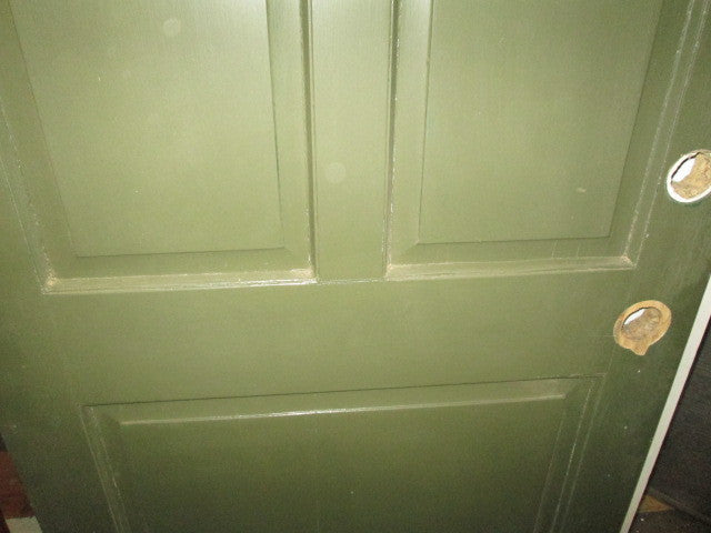 3 Panel Paint finish Exterior Door(1925H x 880W)