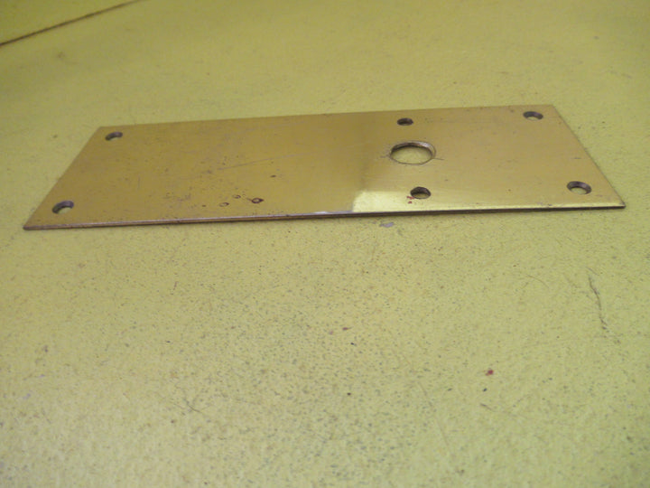 Brass Door Plate  160L x 60W
