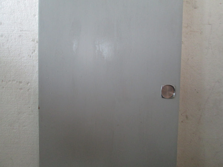 Narrow Hollow Core Paint Quality 1960H x 610W x 40D