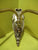 Retro Brass Effect Double Light Wall Sconce   170H x 210D x 290W