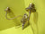 Retro Brass Effect Double Light Wall Sconce   170H x 210D x 290W