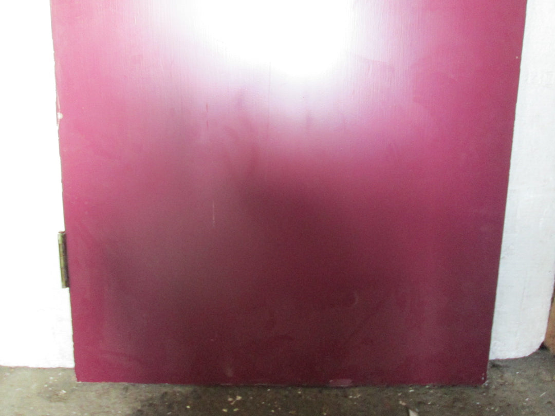 Purple Hollow Core Door with 1 Lite with Security Glass 1980H x 810W x 45D
