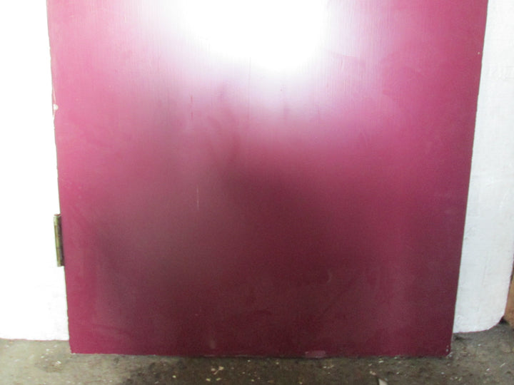 Purple Hollow Core Door with 1 Lite with Security Glass 1980H x 810W x 45D