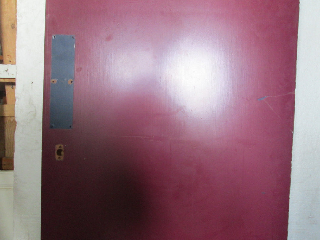 Purple Hollow Core Door with 1 Lite with Security Glass 1980H x 810W x 45D