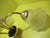 Retro Brass Effect 3 Way Ceiling Light with small Patterned Bell Shades   285H x 500Dia