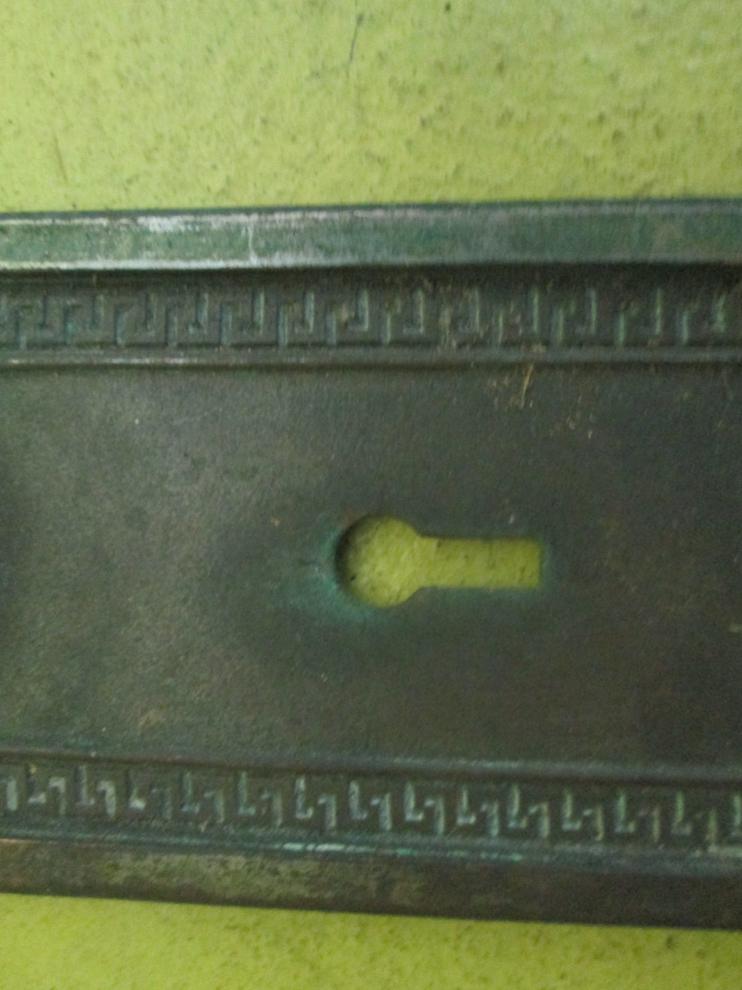 Bronze Ornate Door Plate with the Griffin Heading on the Plate