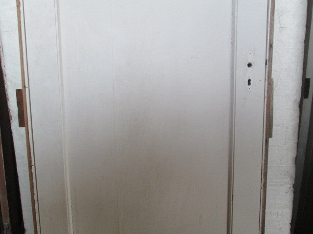 1 Panel Interior Door in Frame(2020H x 810W)