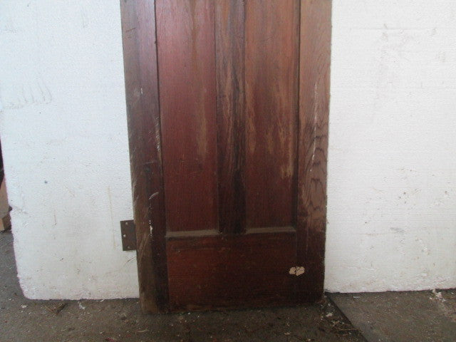 Craftsman/Retro Hallway Door(1730H x 450W x 35D)