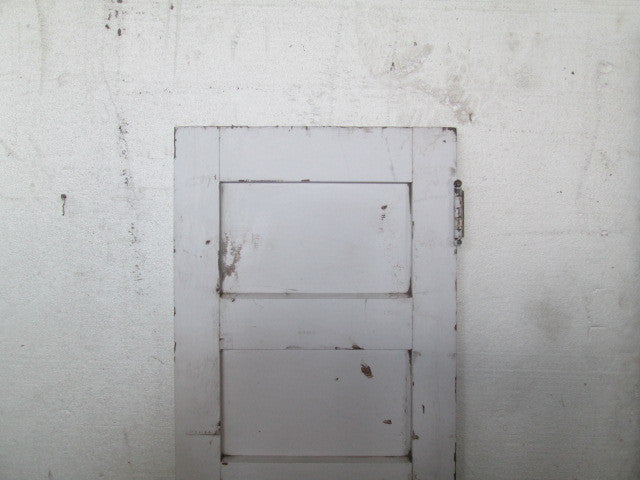 Craftsman/Retro Hallway Door(1730H x 450W x 35D)