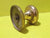 Small Brass Knob with Twisted Rope Design   40H x 40W x 35D