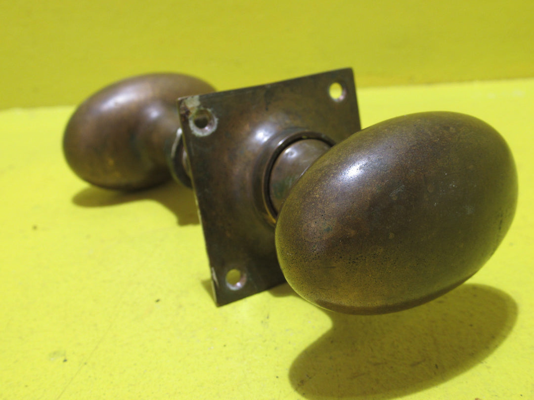 Solid Brass Oval Knob with one Rose/Square Plate 65-45W x 60H