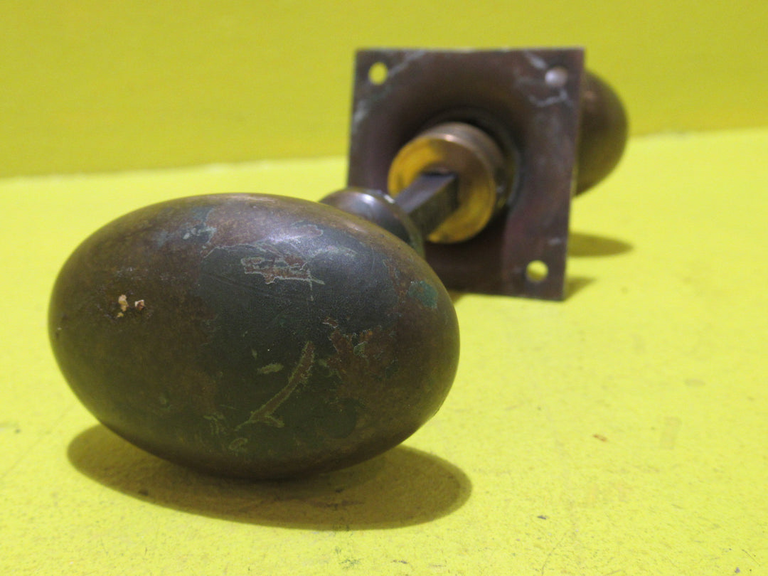 Solid Brass Oval Knob with one Rose/Square Plate 65-45W x 60H