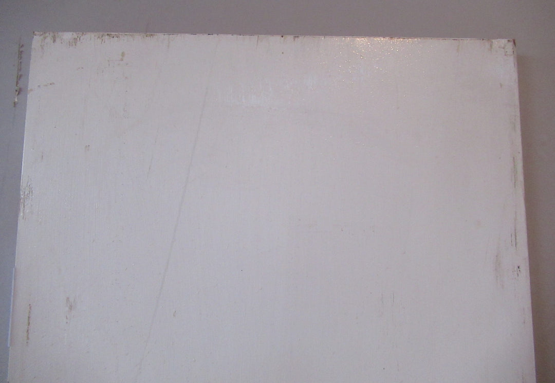 Painted Hallway Hollowcore Door (CT)   1820H x 610W x 40D