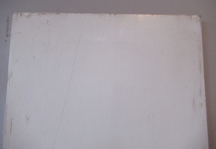 Painted Hallway Hollowcore Door (CT)   1820H x 610W x 40D