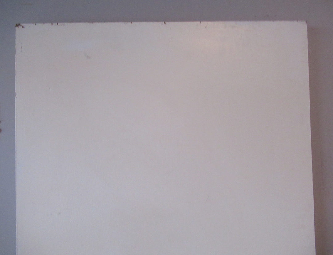 White Painted Hollowcore Door (CT)   1980H x 610W x 40D