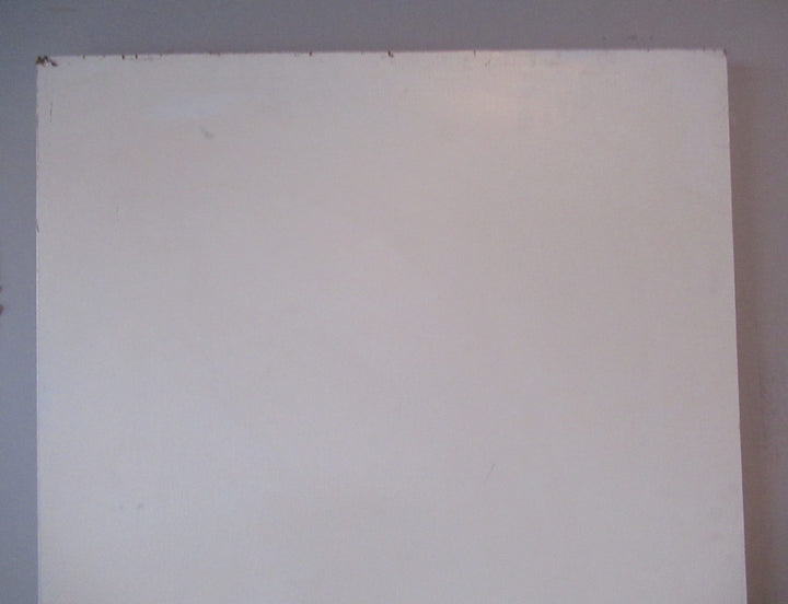 White Painted Hollowcore Door (CT)   1980H x 610W x 40D
