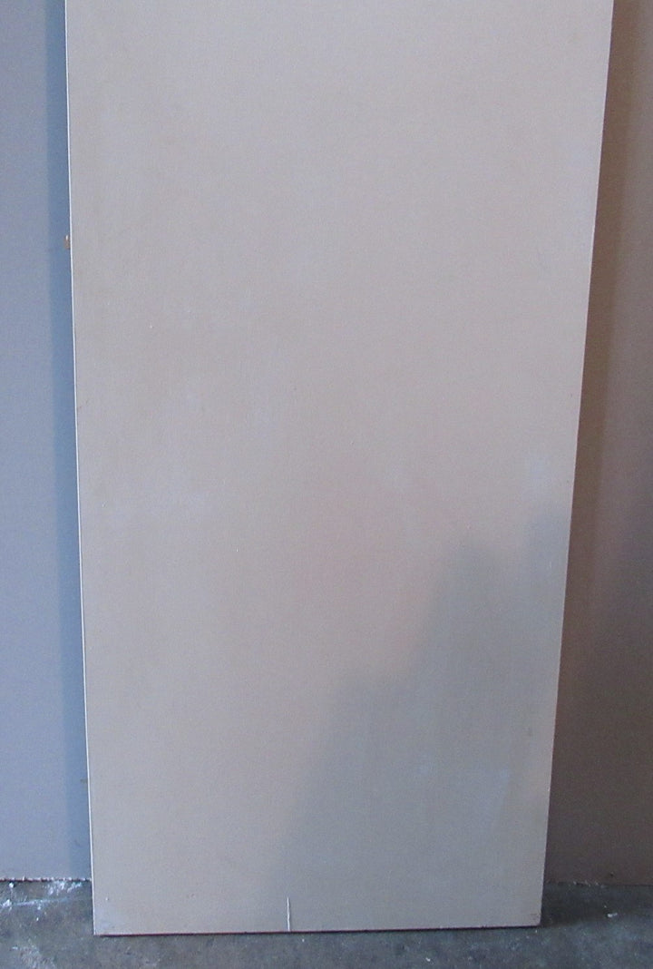 White Painted Hollowcore Door (CT)   1980H x 610W x 40D