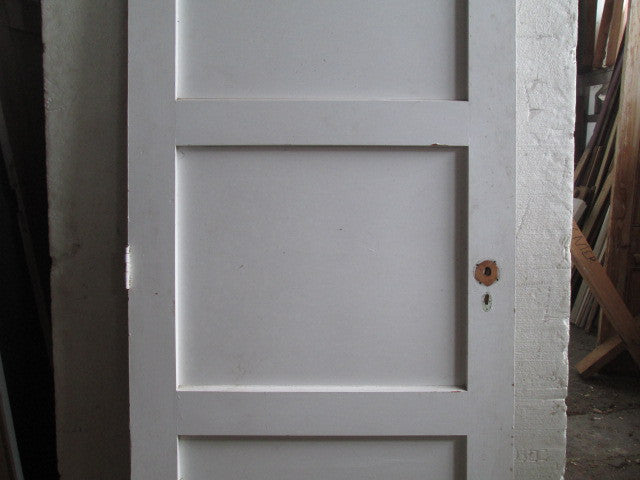 3 Panel Internal Door (2020H x 810W)