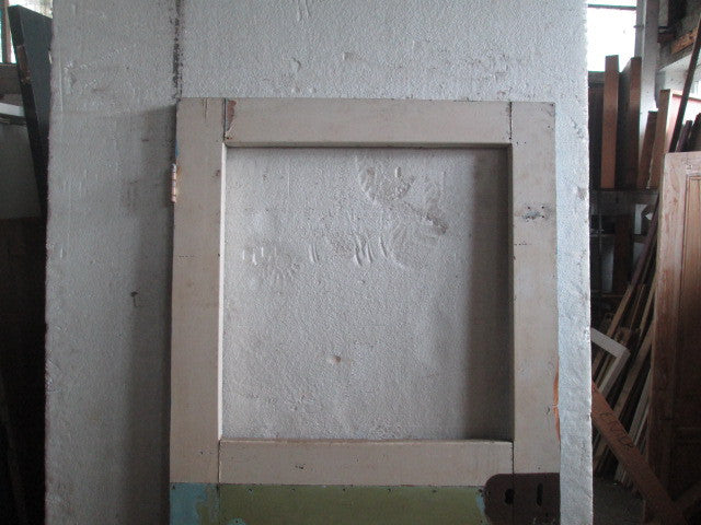 External 1 Lite Door with raised Paneling(2020H x 810W x 45D)