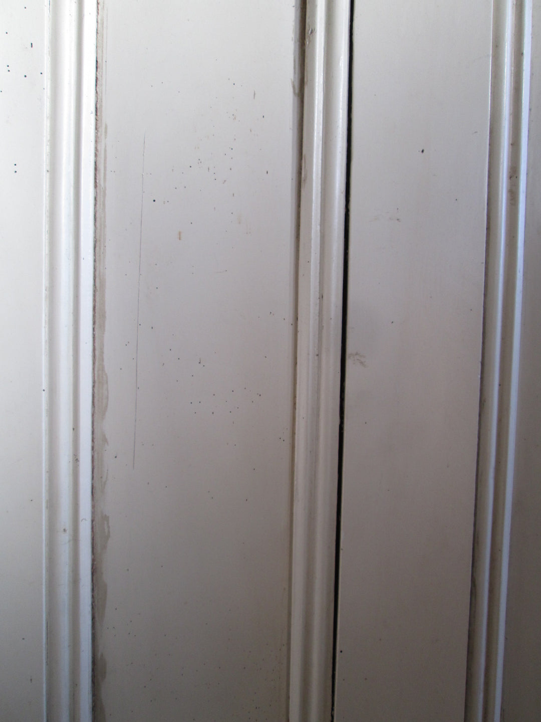 PaInt Finished Internal Statesman Door 1900H x 810W x 45W
