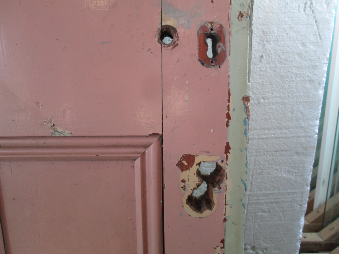 Internal Statesman Door 1970H  810W x 45D