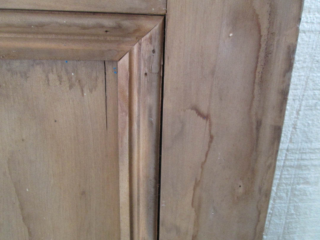 Paint Finish Internal Villa Door 1980H x 810W x 45D