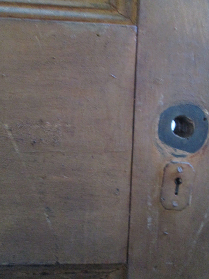 Internal Statesman Door 1915H x 755W x 50D