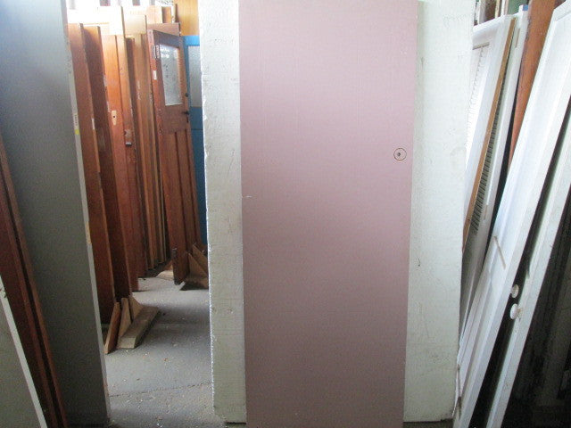Paint Finish Hollow Core Door