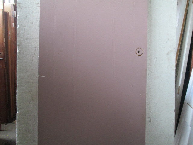 Paint Finish Hollow Core Door