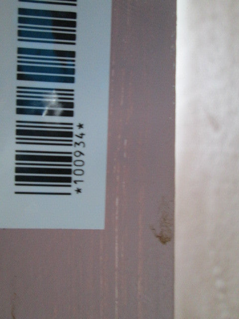 Paint Finish Hollow Core Door