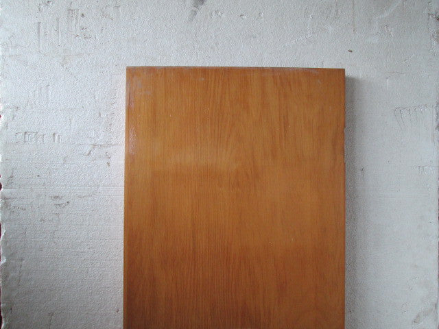 Narrow Hollow Core Hallway Door(1980H x 560W x 40D)