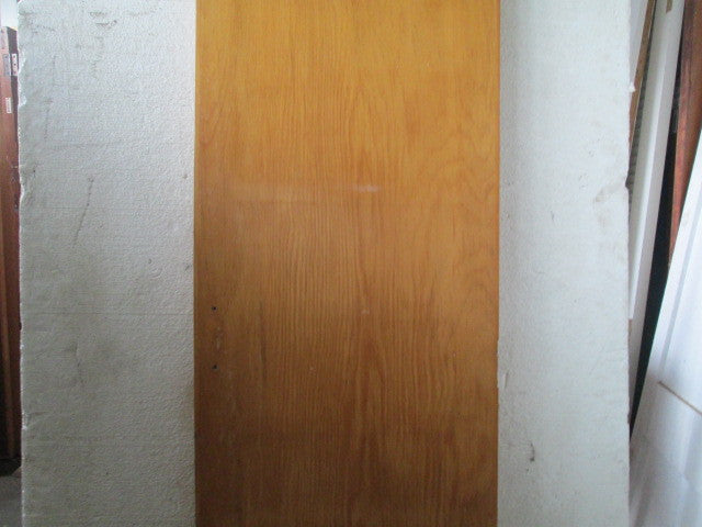 Narrow Hollow Core Hallway Door(1980H x 560W x 40D)