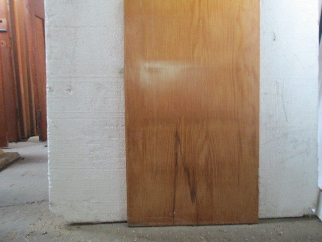Narrow Hollow Core Hallway Door(1980H x 560W x 40D)