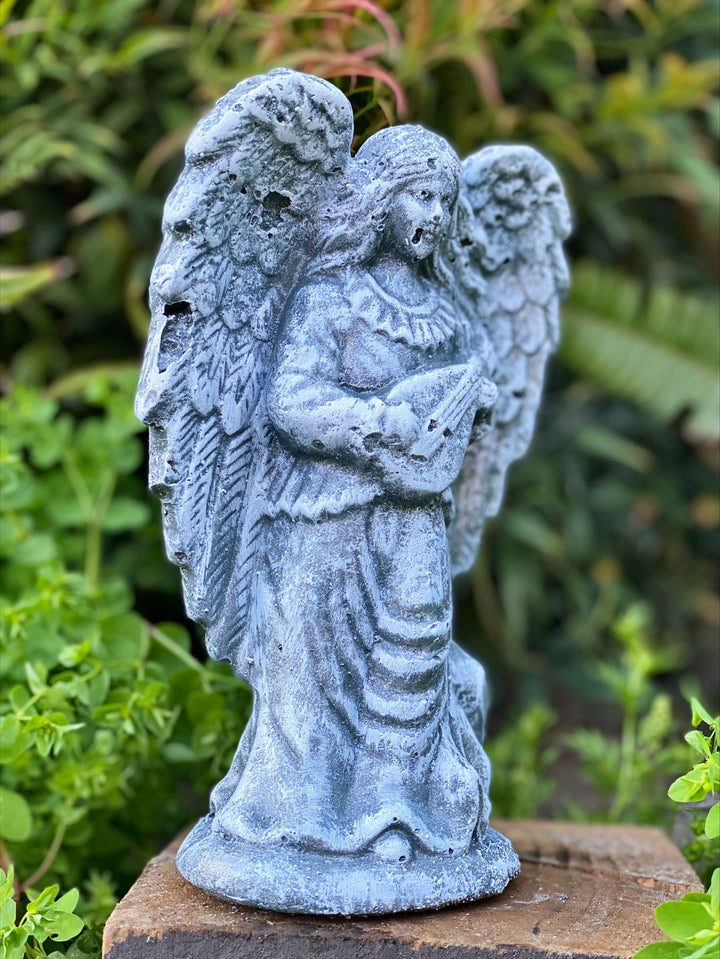 Lyrical Angel 20cm H x 40cm W x 3cm D