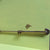 Brass Telescopic Window Stays