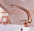 Rose Gold Basin Faucet Modern Bathroom Sink Mixer Tap