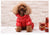 Winter Super Warm Waterproof Down Jacket For Small Dogs