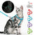 Nylon Cat Harness and Leash Set With Customized Id Tag= Anti Lost Name Tag Free Engraving Blue Red