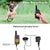 Electric Dog Training Collar Waterproof Rechargeable Remote Control Pet with LCD Display for All Size Bark-stop Collars 40% Off