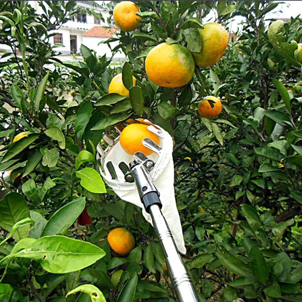 Metal Fruit Picker Orchard Gardening Apple Peach High Tree Picking Tools