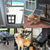 Lockable Plastic Pet Dog Cat Kitty Door for Screen Window Security Flap Gates Pet Tunnel Dog Fence Free Access Door for Home