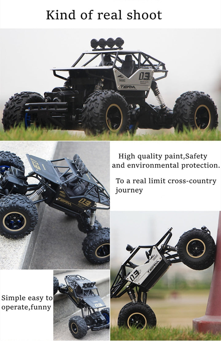 ZWN 1:12 / 1:16 / 1:20 4WD RC Car 2.4G Radio Control Car Off-Road Buggy