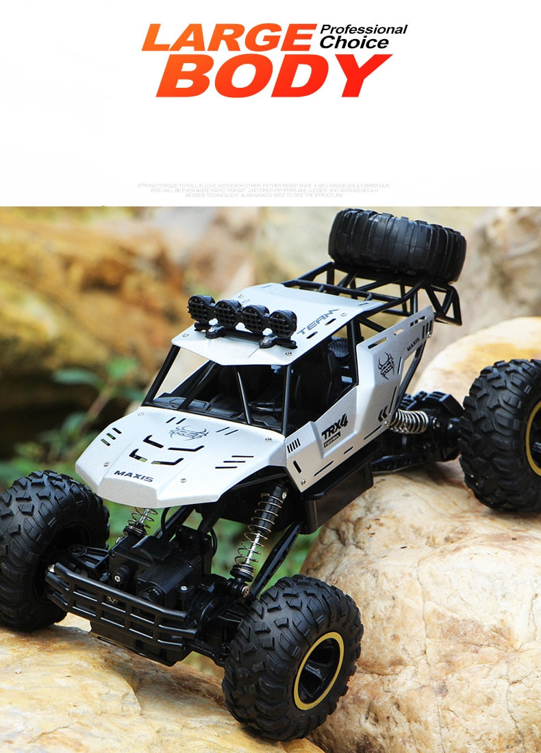 ZWN 1:12 / 1:16 / 1:20 4WD RC Car 2.4G Radio Control Car Off-Road Buggy