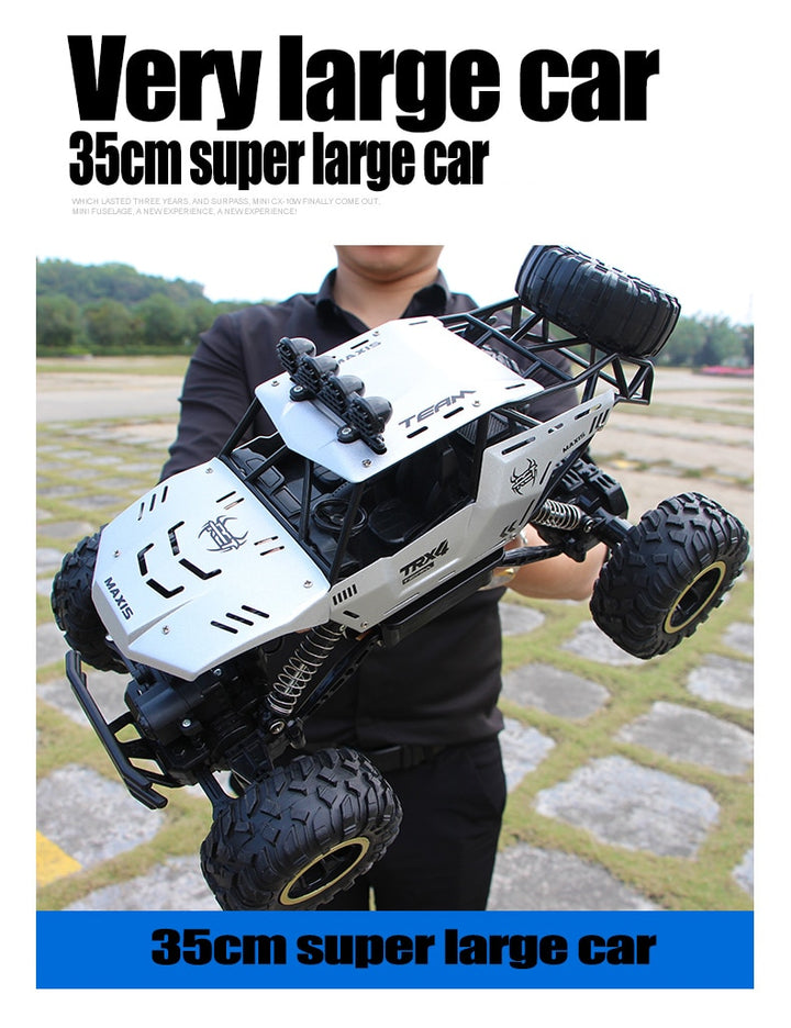 ZWN 1:12 / 1:16 / 1:20 4WD RC Car 2.4G Radio Control Car Off-Road Buggy
