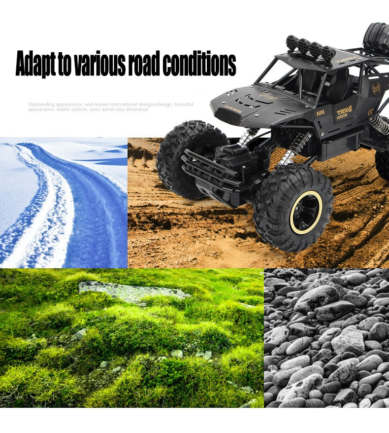 ZWN 1:12 / 1:16 / 1:20 4WD RC Car 2.4G Radio Control Car Off-Road Buggy
