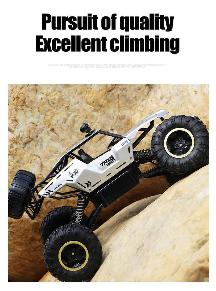 ZWN 1:12 / 1:16 / 1:20 4WD RC Car 2.4G Radio Control Car Off-Road Buggy