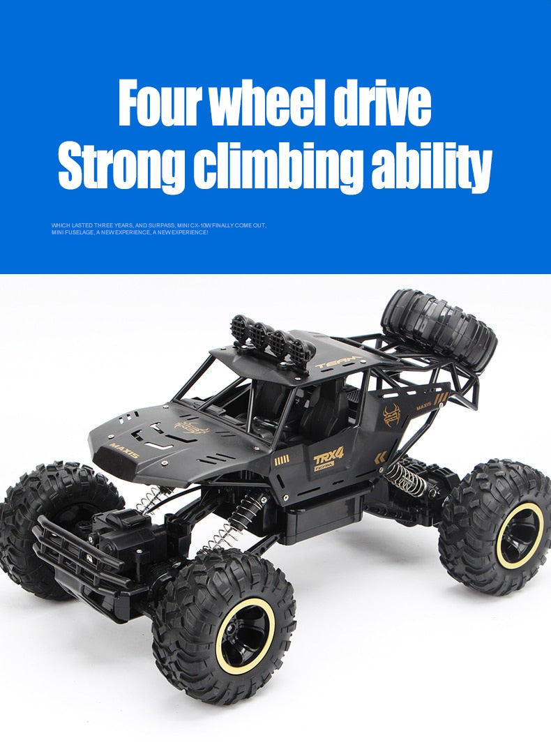 ZWN 1:12 / 1:16 / 1:20 4WD RC Car 2.4G Radio Control Car Off-Road Buggy