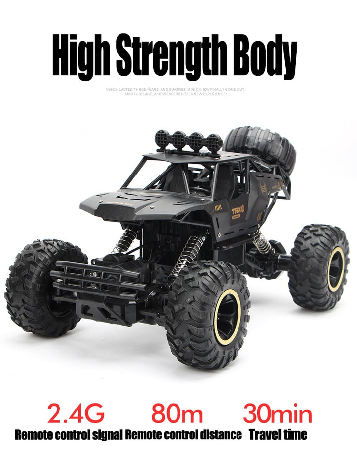 ZWN 1:12 / 1:16 / 1:20 4WD RC Car 2.4G Radio Control Car Off-Road Buggy