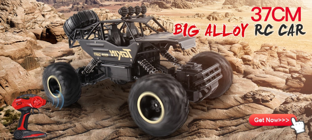 ZWN 1:12 / 1:16 / 1:20 4WD RC Car 2.4G Radio Control Car Off-Road Buggy